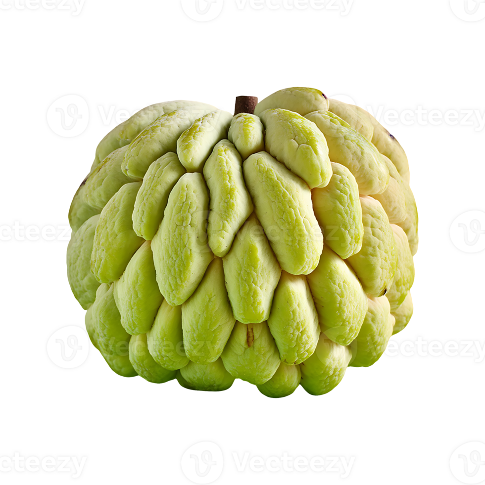 Sugar Apple isolated on transparent background png