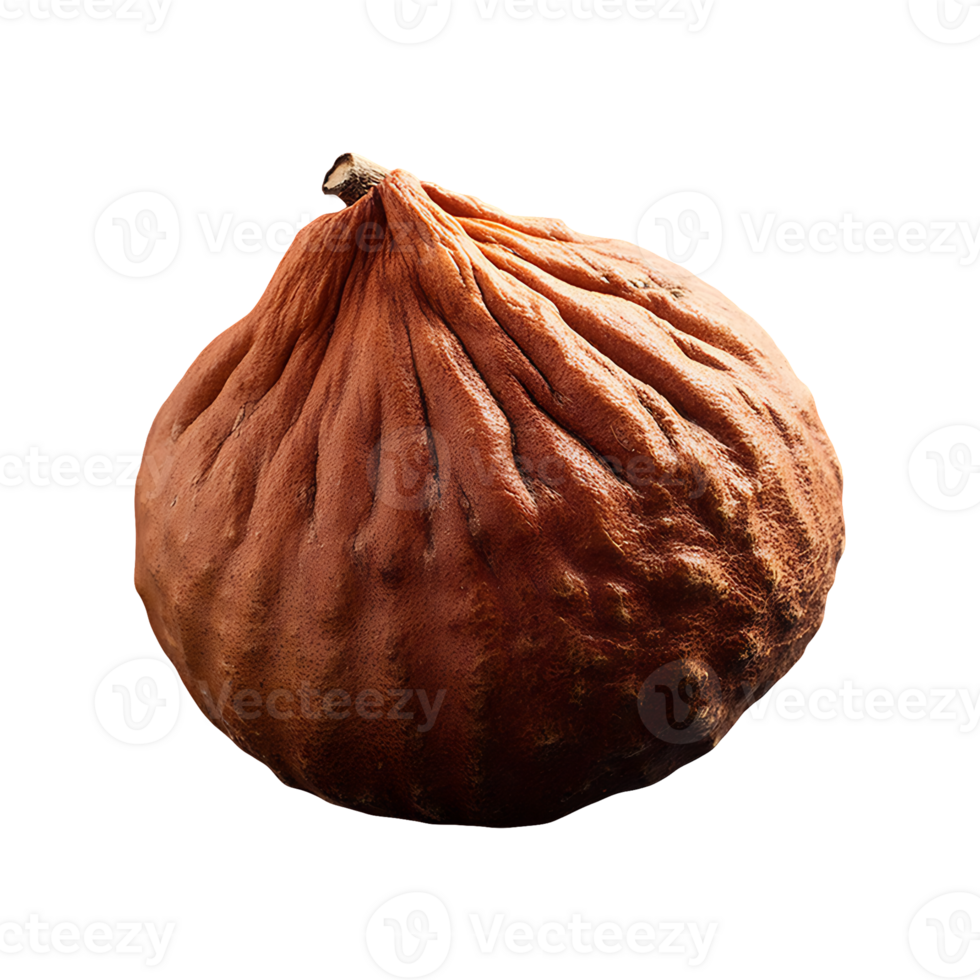 Bael fruit isolated on transparent background png