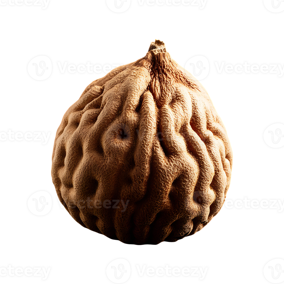 Bael fruit isolated on transparent background png