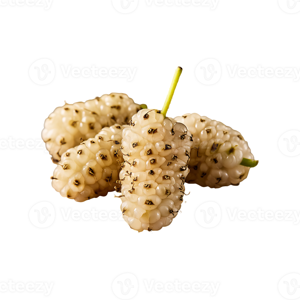 White Mulberry isolated on transparent background png