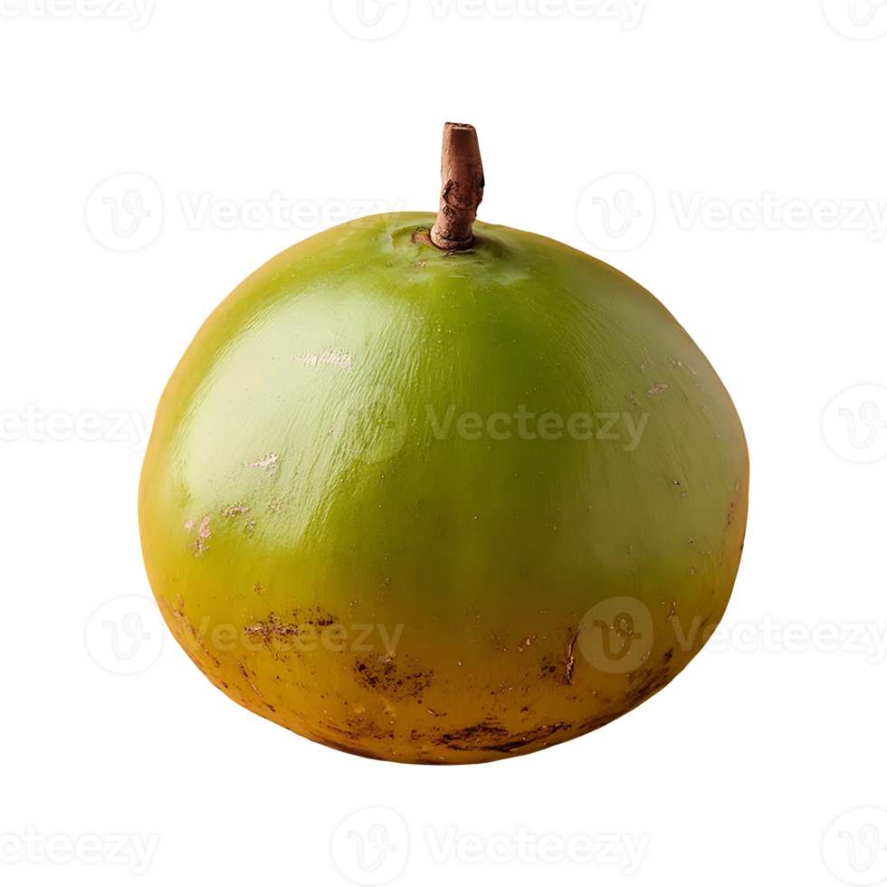 Ambarella fruit isolated on transparent background png