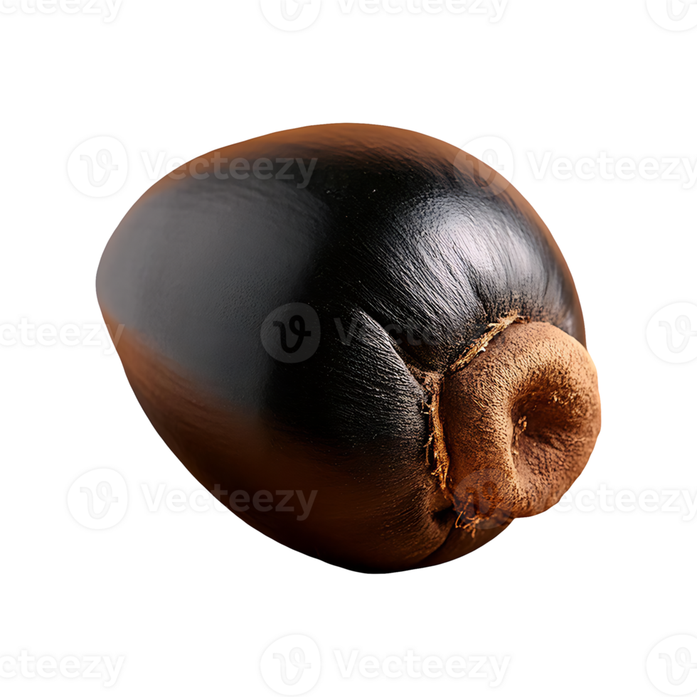 Black Sapote isolated on transparent background png