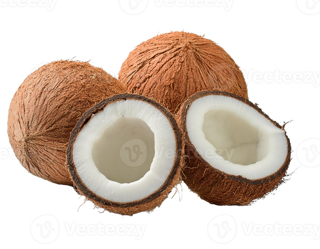 coconut isolated on transparent background. png