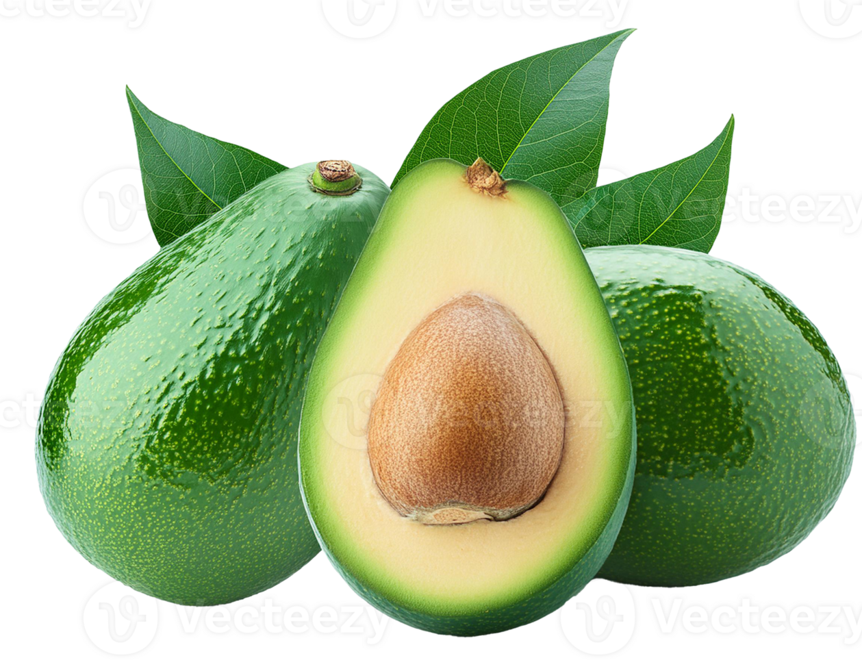 avocado isolated on transparent background. png