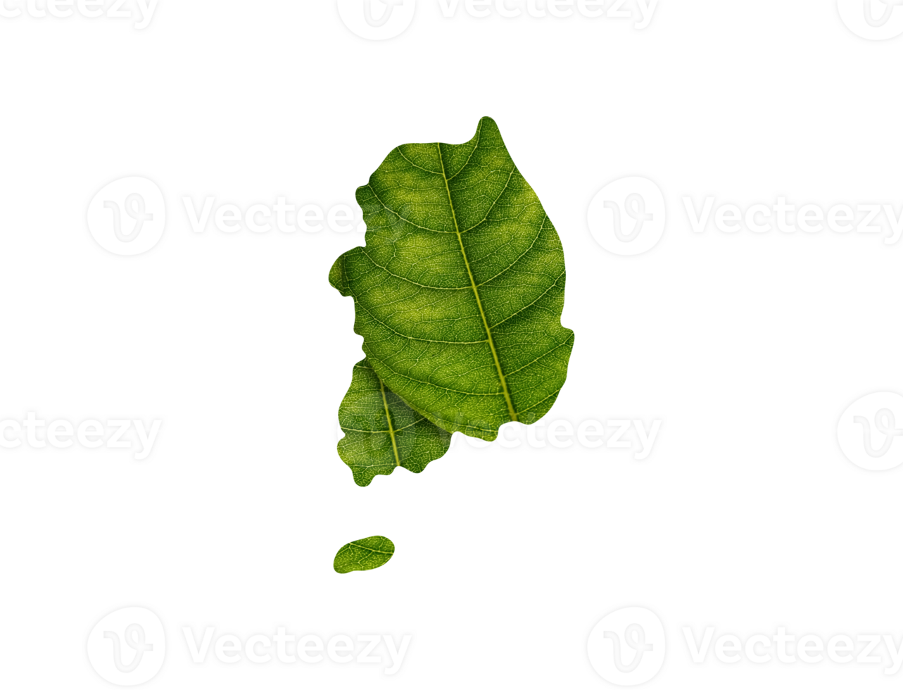 South Korea map made of green leaves ecology concept png