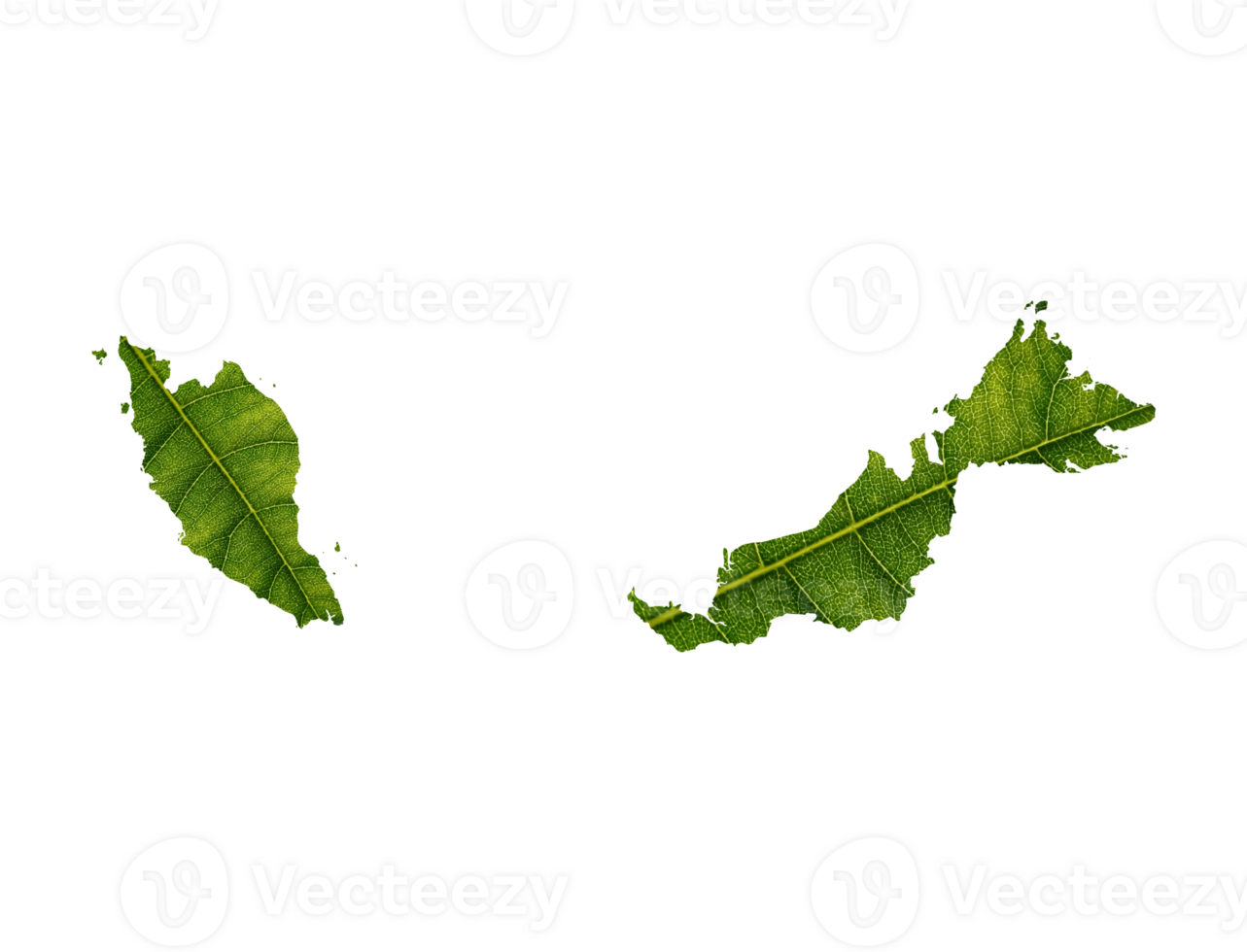 Malaysia map made of green leaves ecology concept png