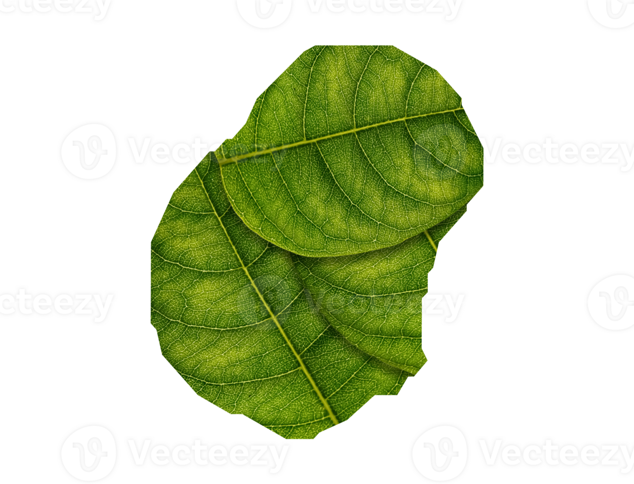 Nauru map made of green leaves ecology concept png
