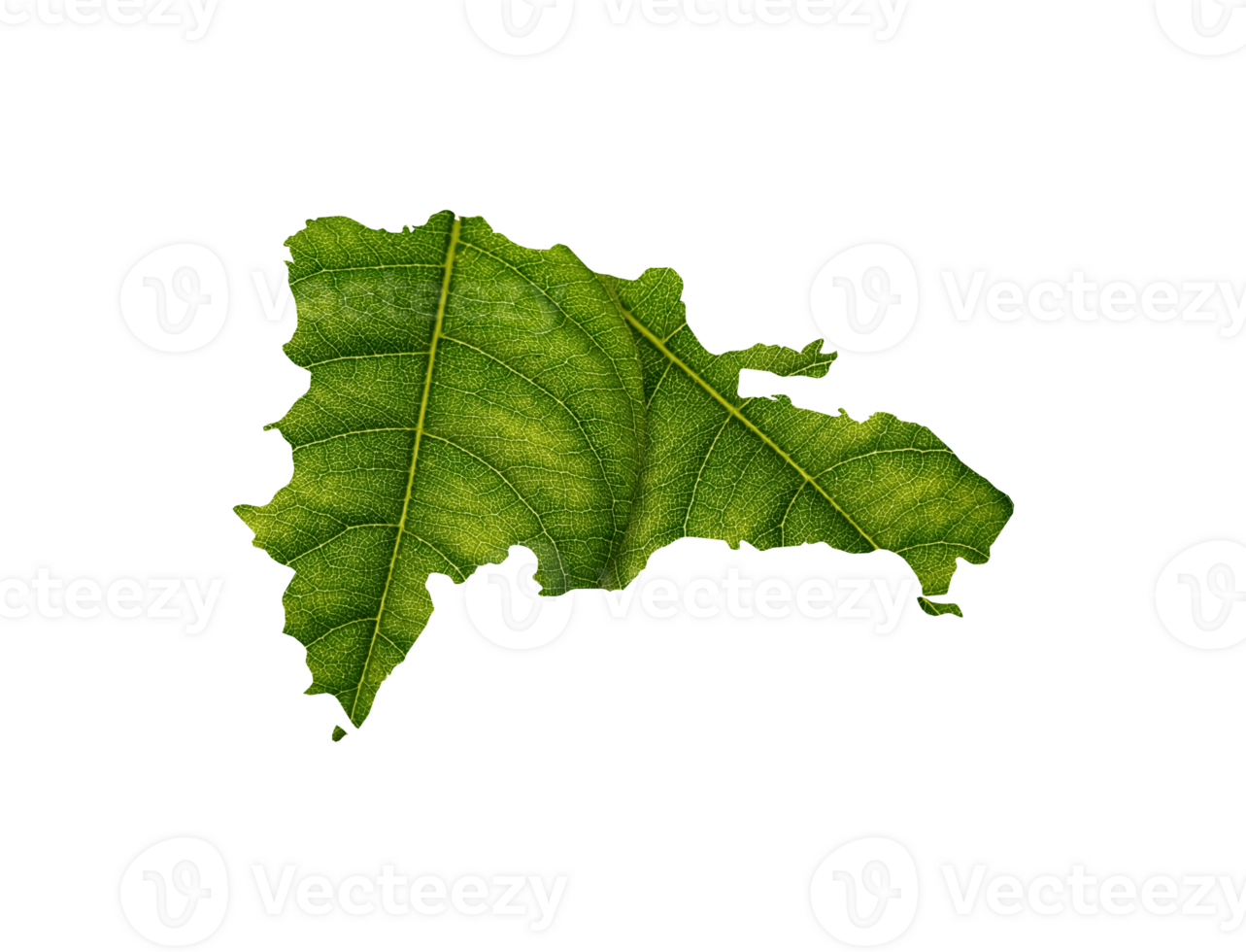Dominican Republic map made of green leaves ecology concept png