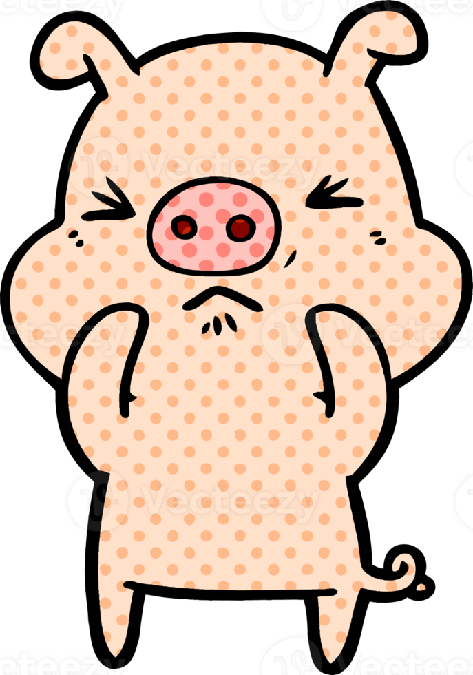 cartoon angry pig drawing png