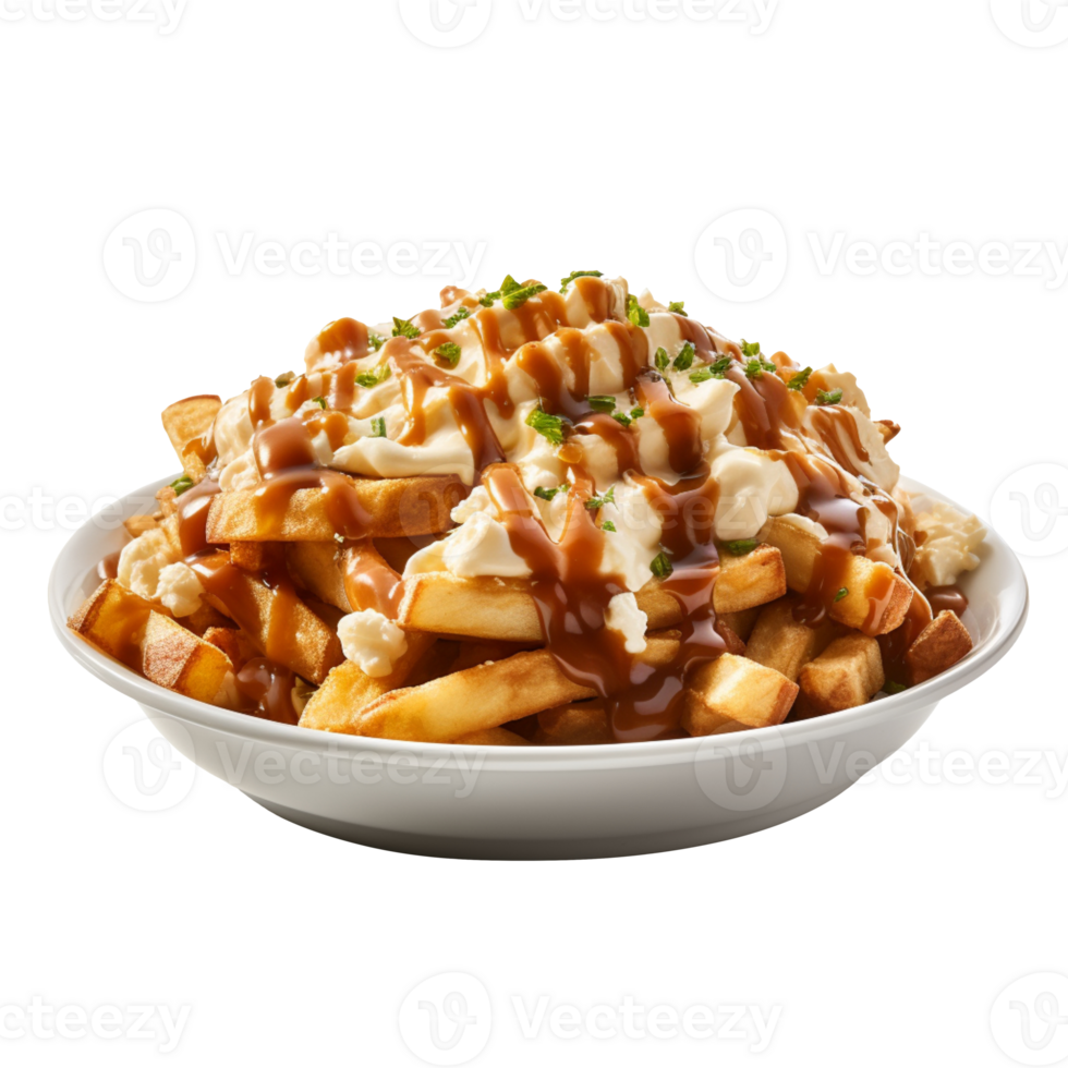 Delicious Plate of Poutine isolated on transparent background png