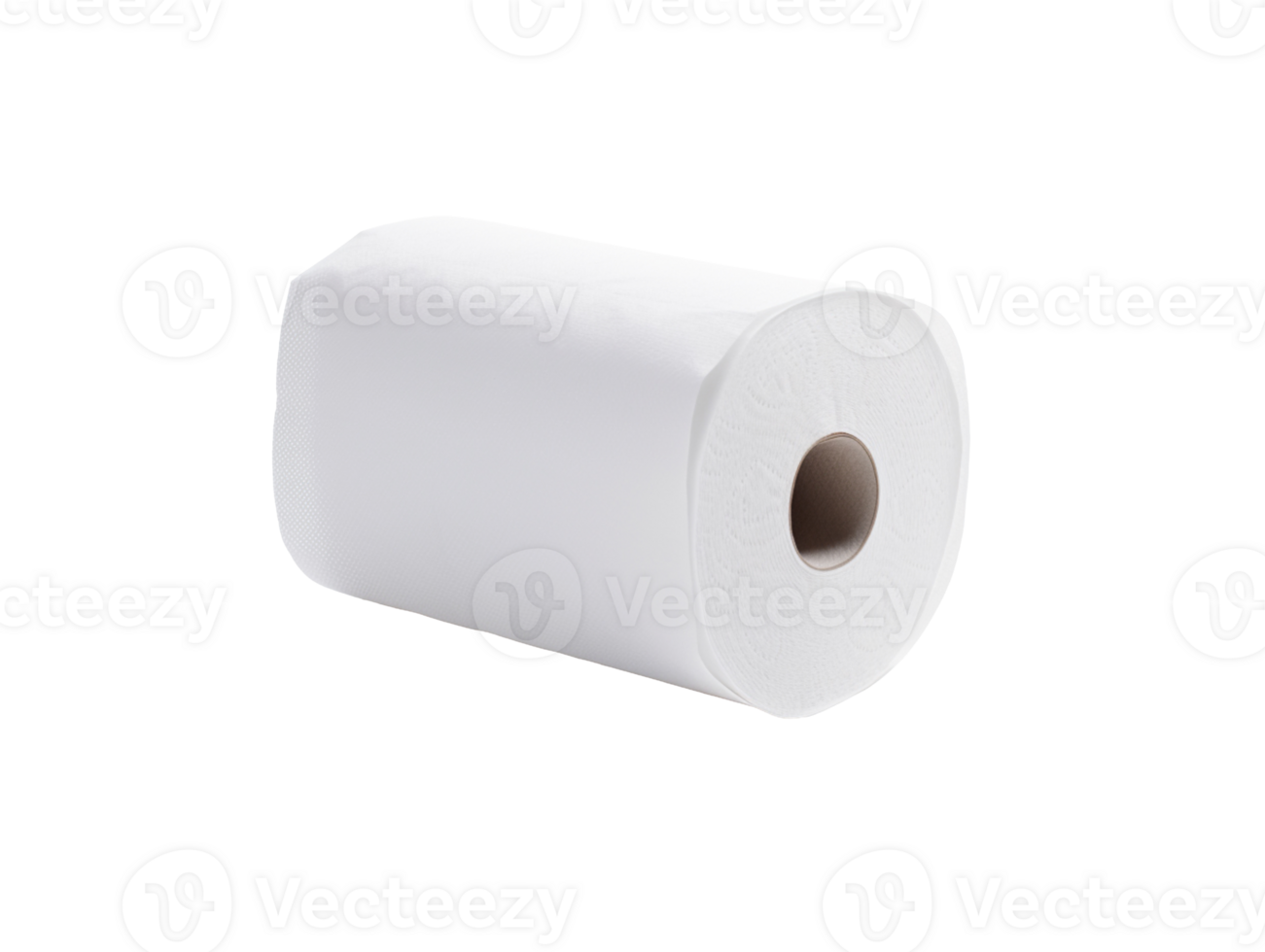 Empty toilet paper roll isolated on transparent background png
