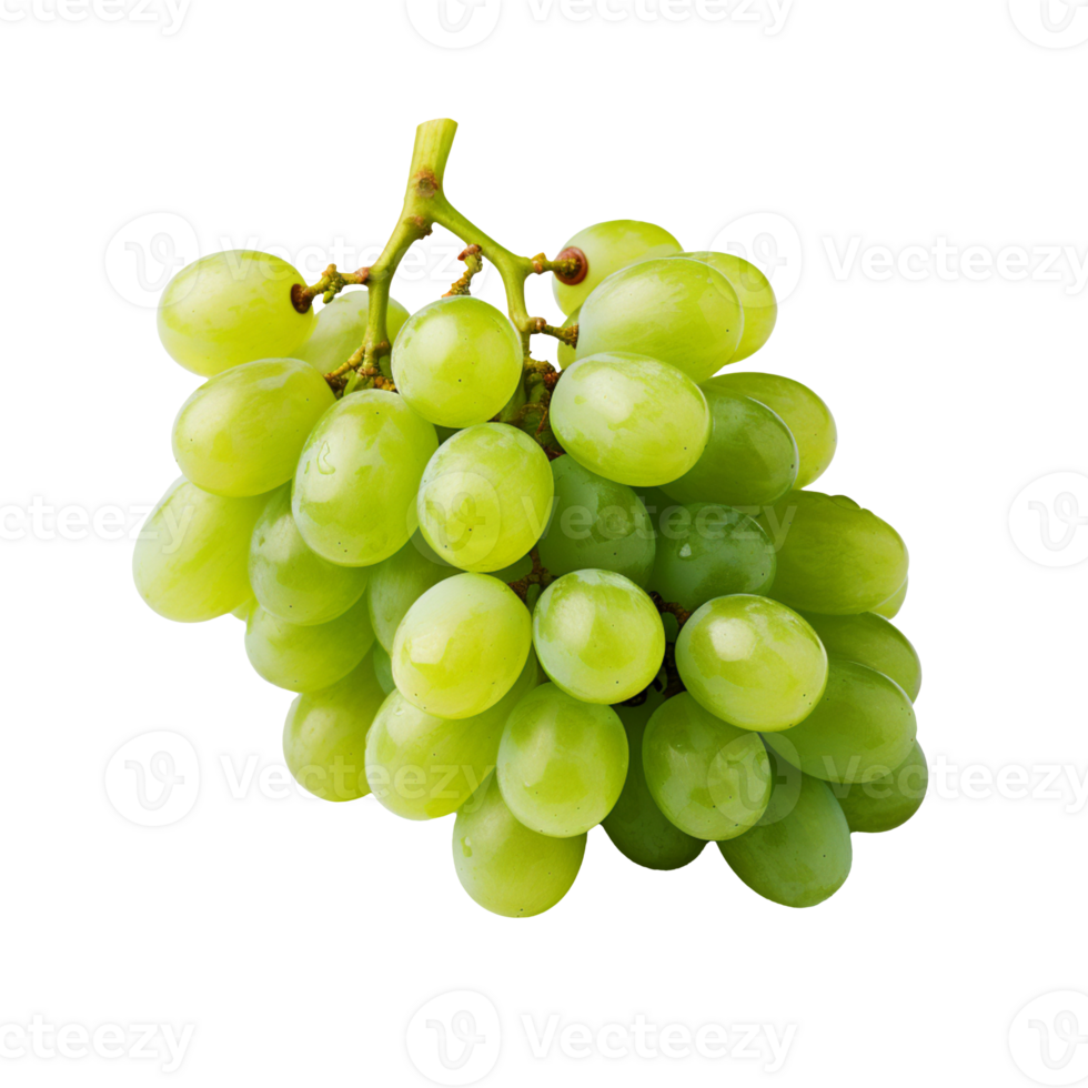 fresco verde uvas isolado em transparente fundo png