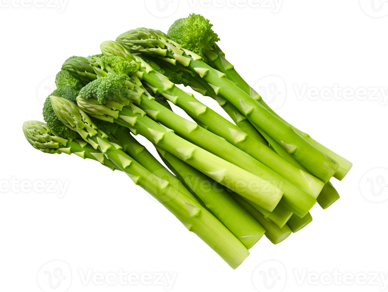 Fresh asparagus isolated on transparent background png