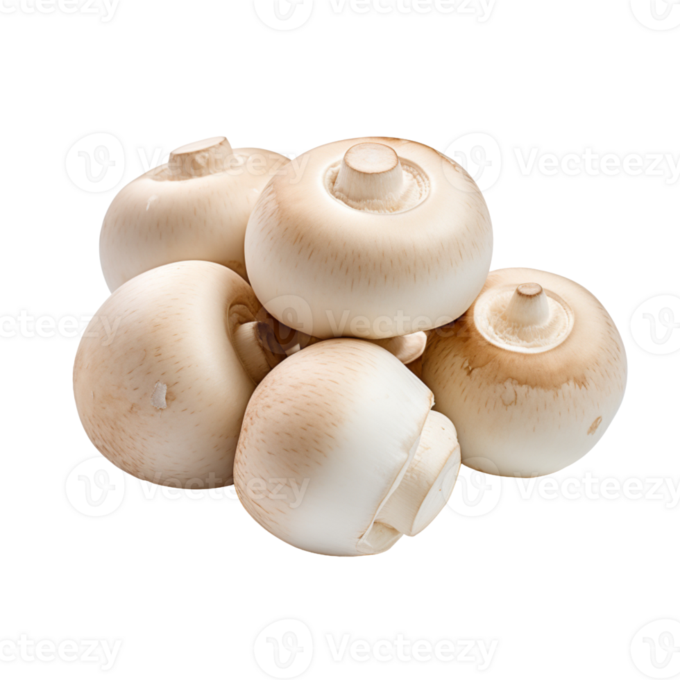 Fresh champignon mushrooms isolated on transparent background png