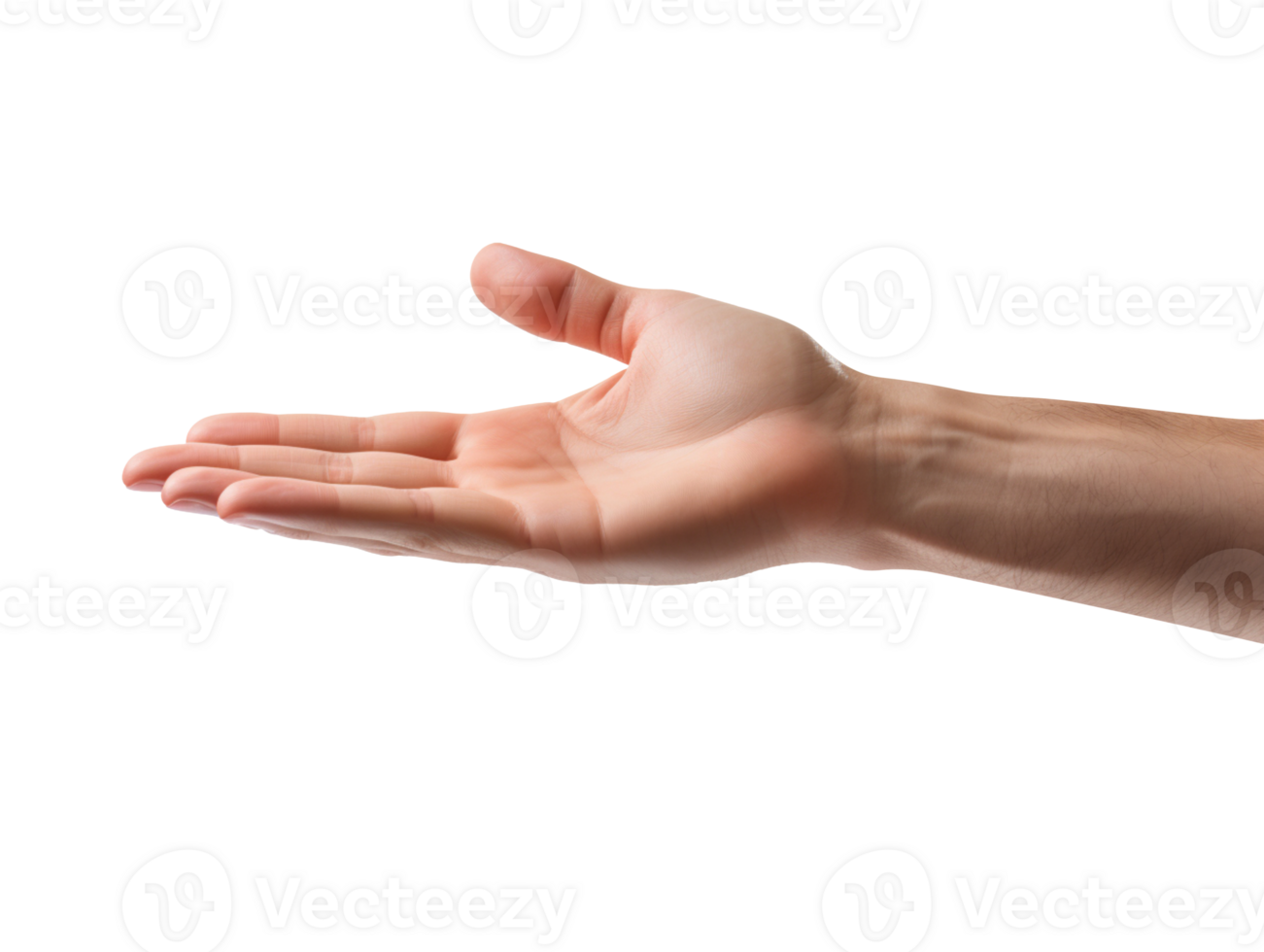 Helping giving hand isolated on transparent background png