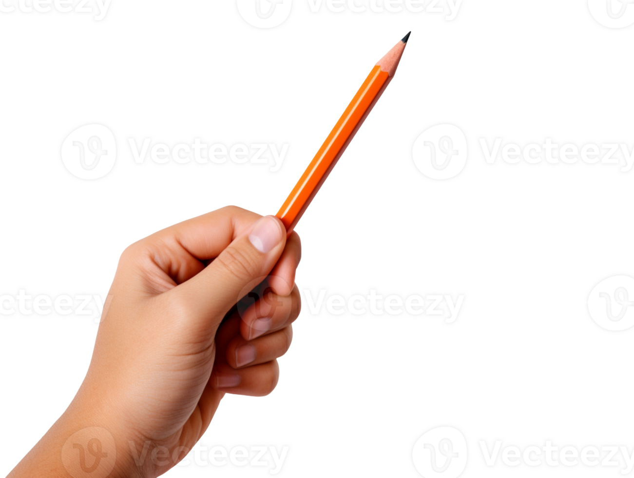 hand holding a pencil isolated on transparent background png