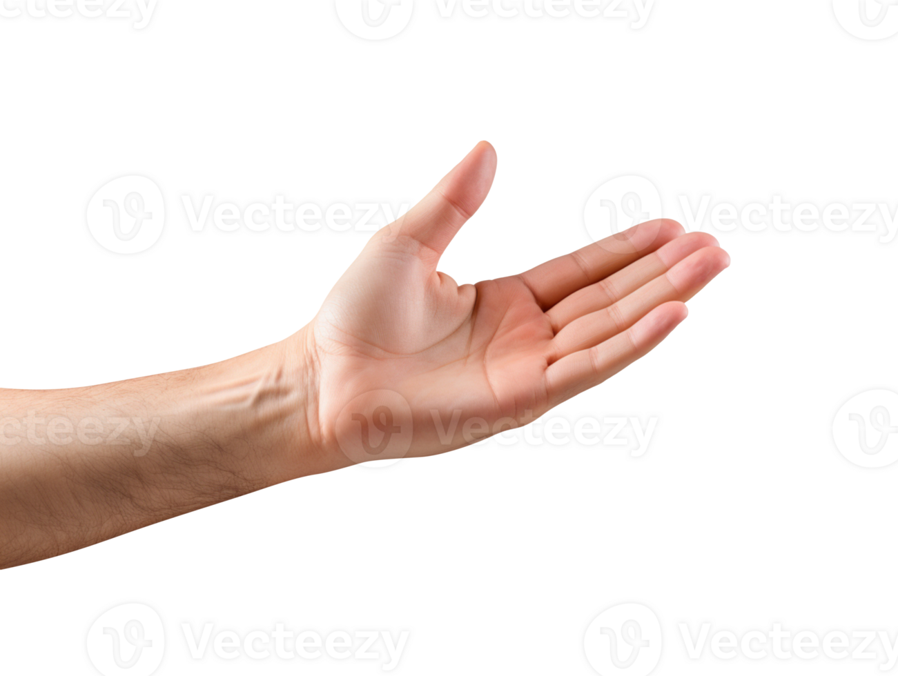 Man hand palm offering isolated on transparent background png