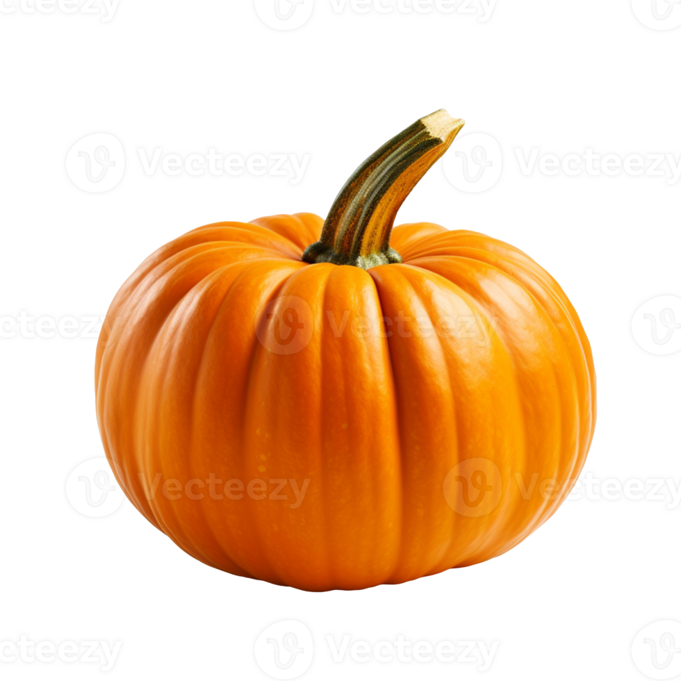 orange pumpkin isolated on transparent background png