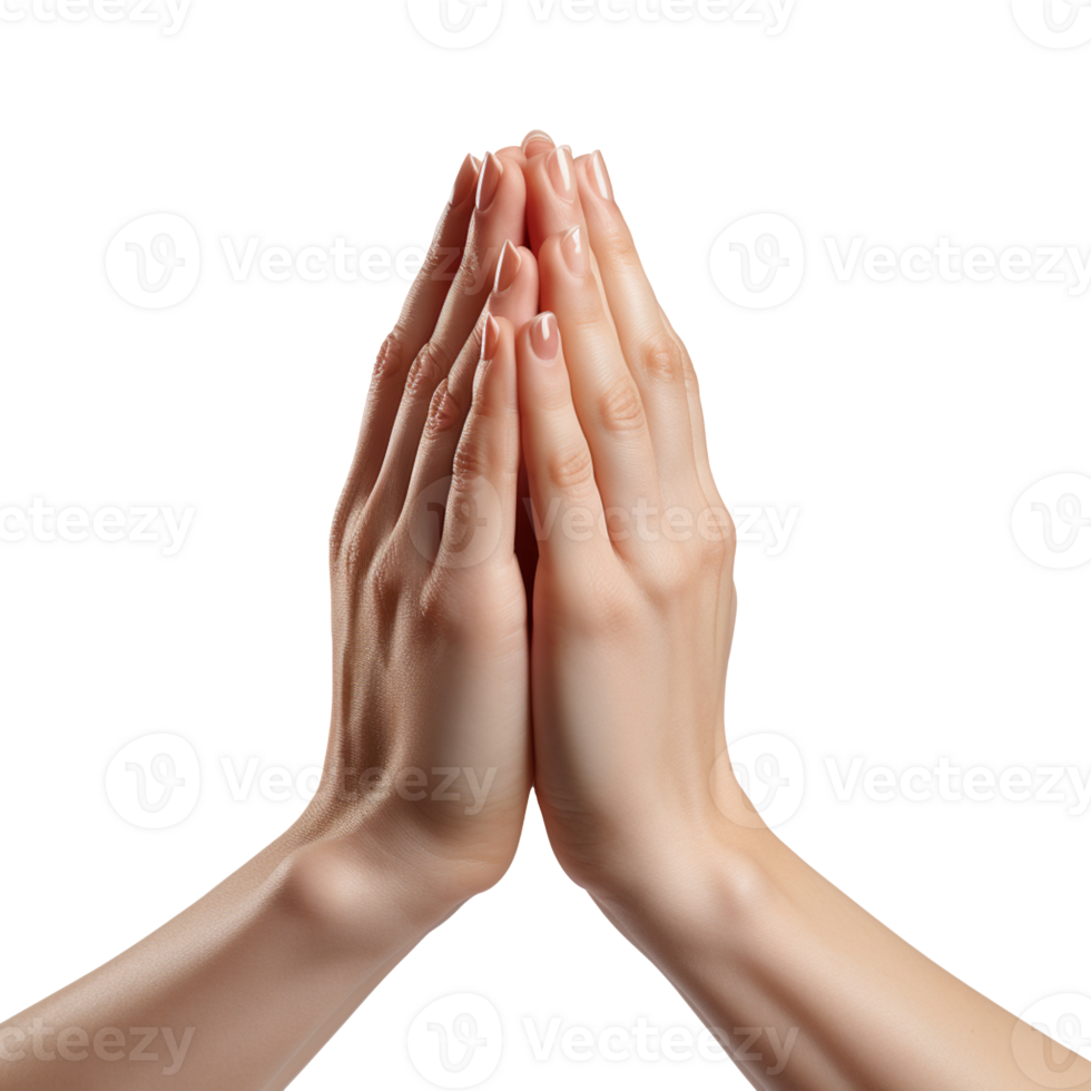 Praying Hand isolated on transparent background png