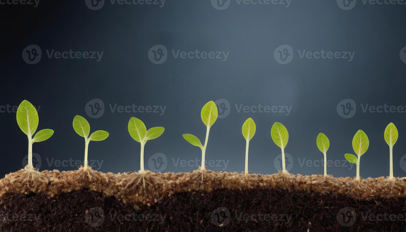 Natures Miracle Tiny Plants Bursting from Soil photo