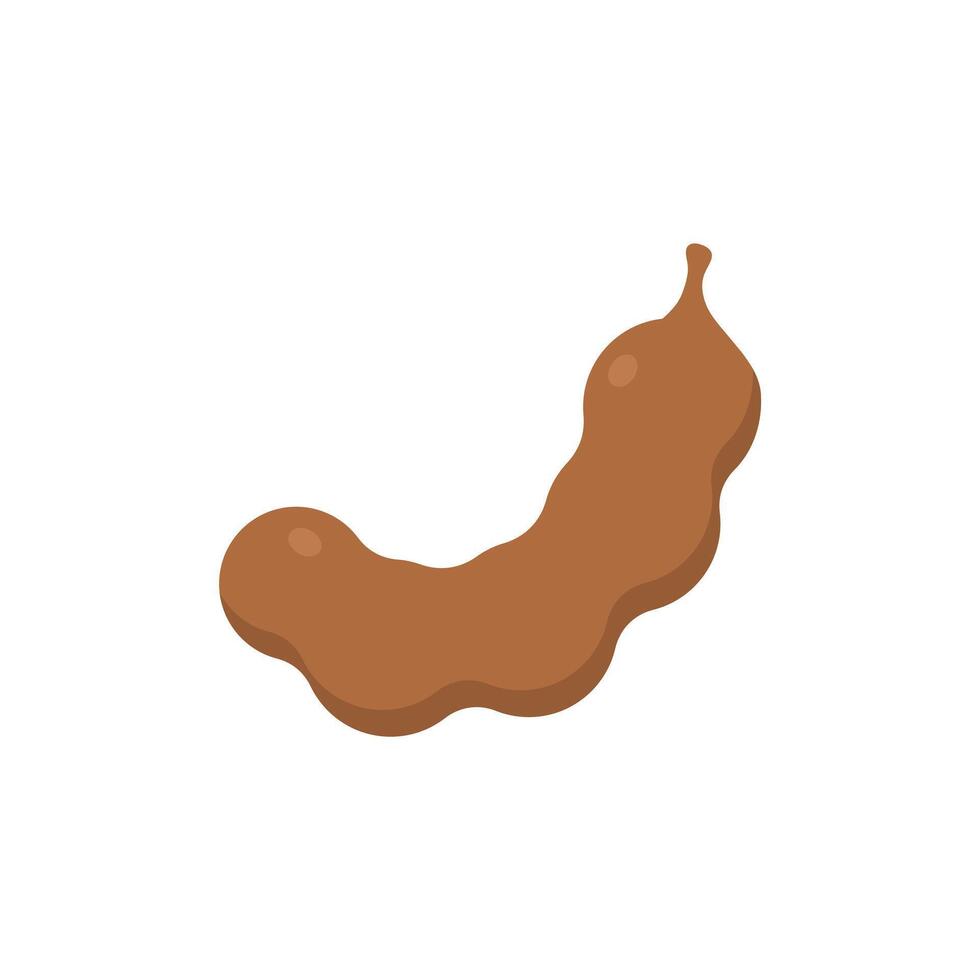 tamarind flat design illustration isolated on white background. Flavor spices and herbs menu template collection. Ripe brown tamarindus indica icon for package design. tropical exotic fruits vector