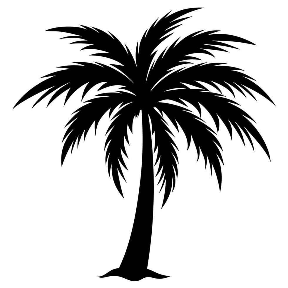 palm tree silhouette on white background vector