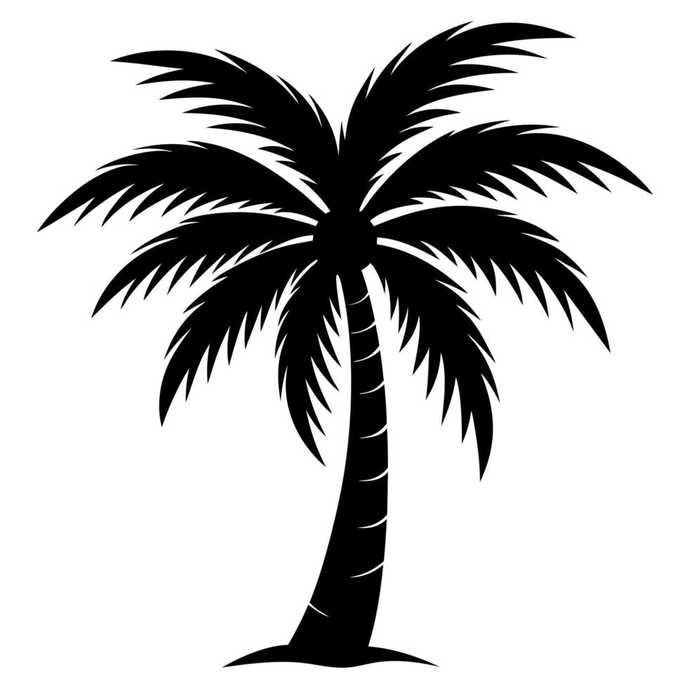 palm tree silhouette on white background vector