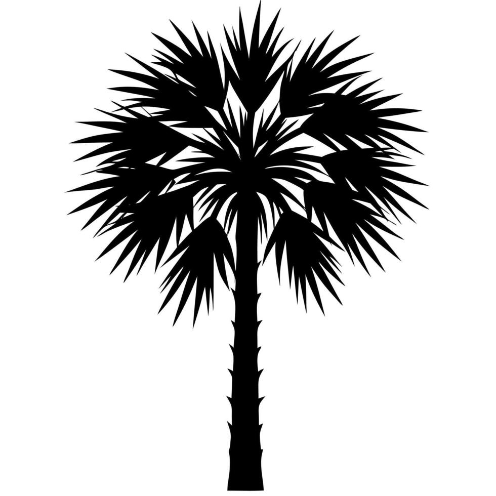 Palmetto tree black silhouette illustration vector