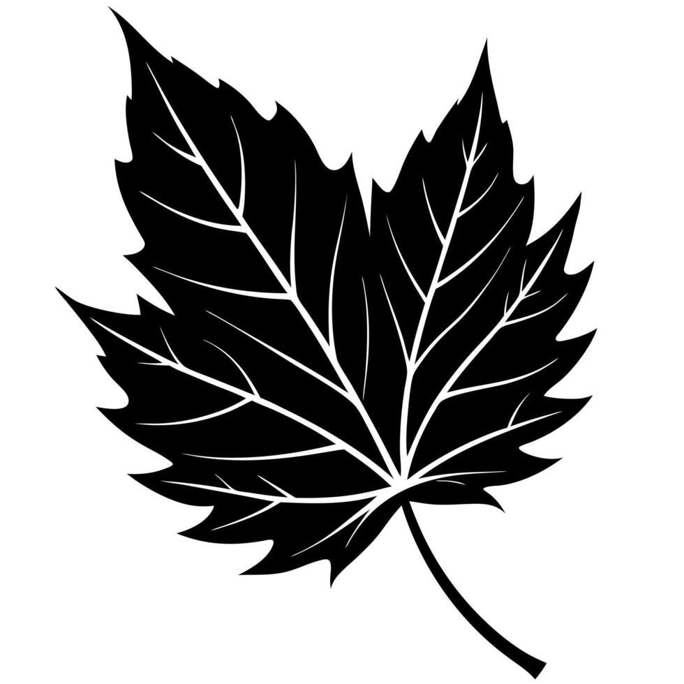 Autumn leaf black silhouette illustration vector