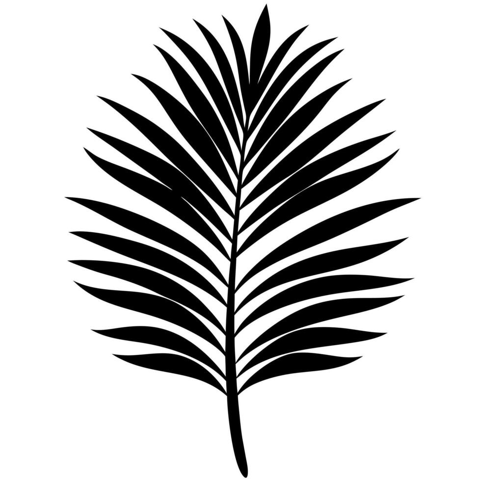 Palm leaf black silhouette illustration vector