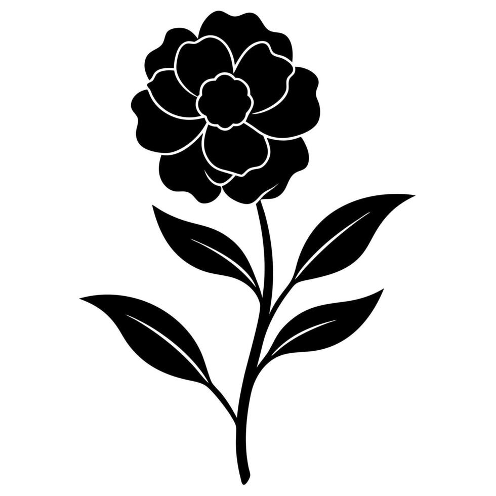 wax flower black silhouette illustration vector