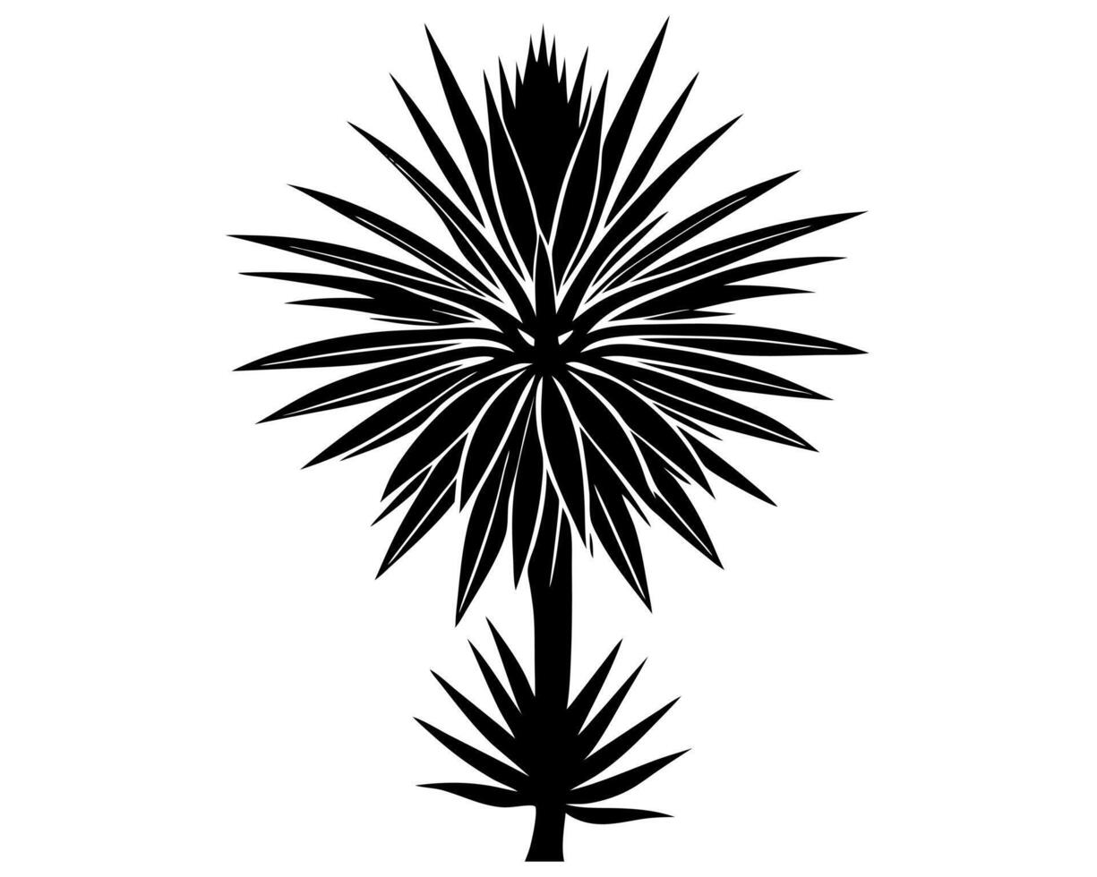 Yucca flower black silhouette illustration vector