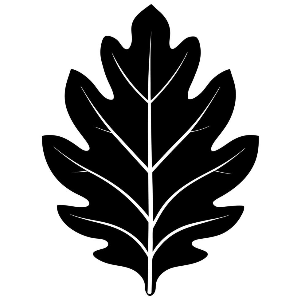oak leaf black silhouette illustration vector