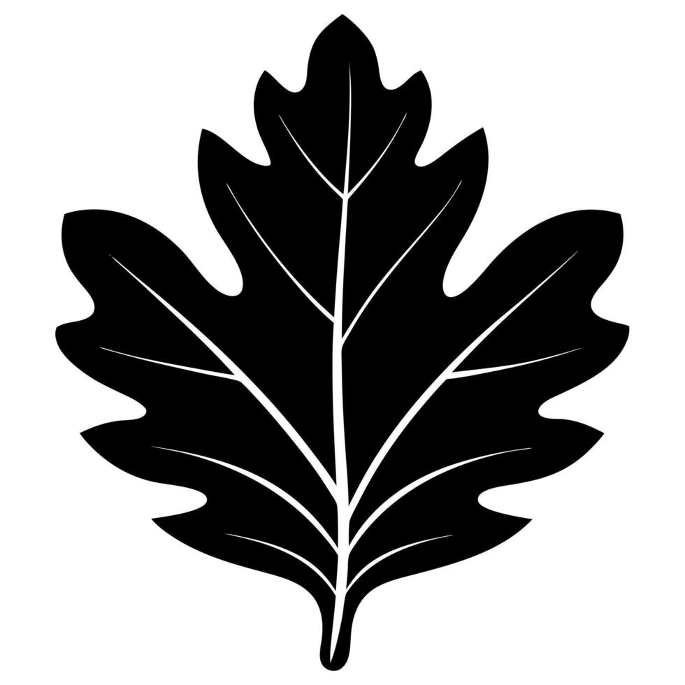 oak leaf black silhouette illustration vector