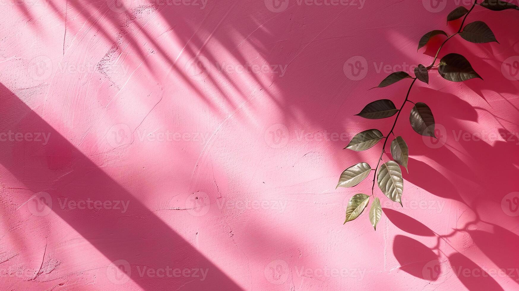 Abstract pink gradient studio background for product presentation. Empty wall with window shadows and palm leaves. Room with copy space. photo