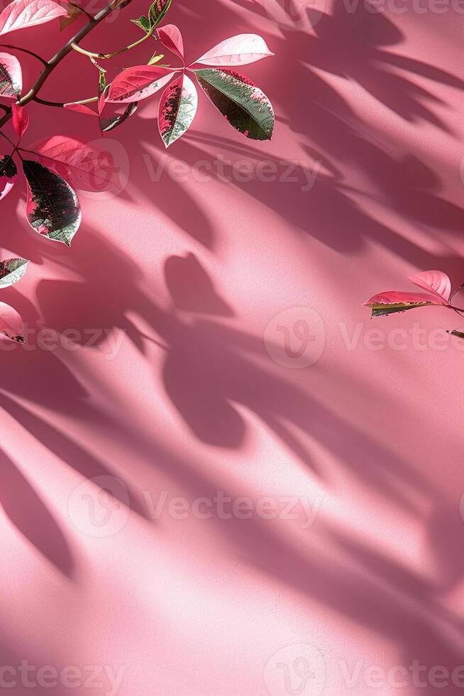 Shadows on a pastel pink background for stories with space for text. photo
