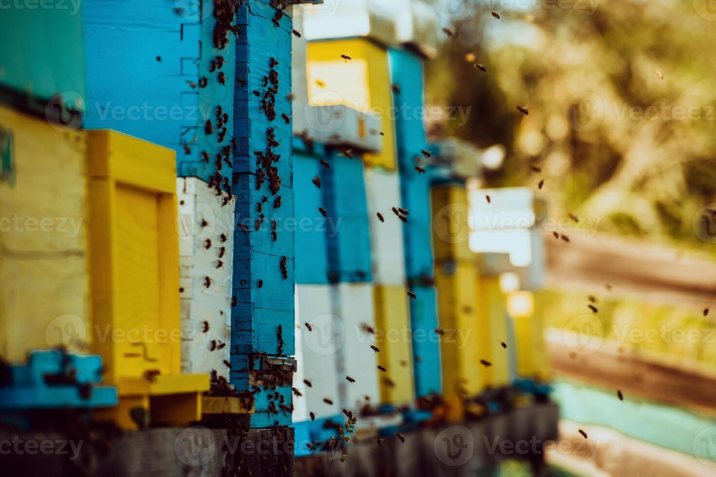 Close up photo of bees hovering around the hive carrying pollen 46833220 Stock Photo at Vecteezy