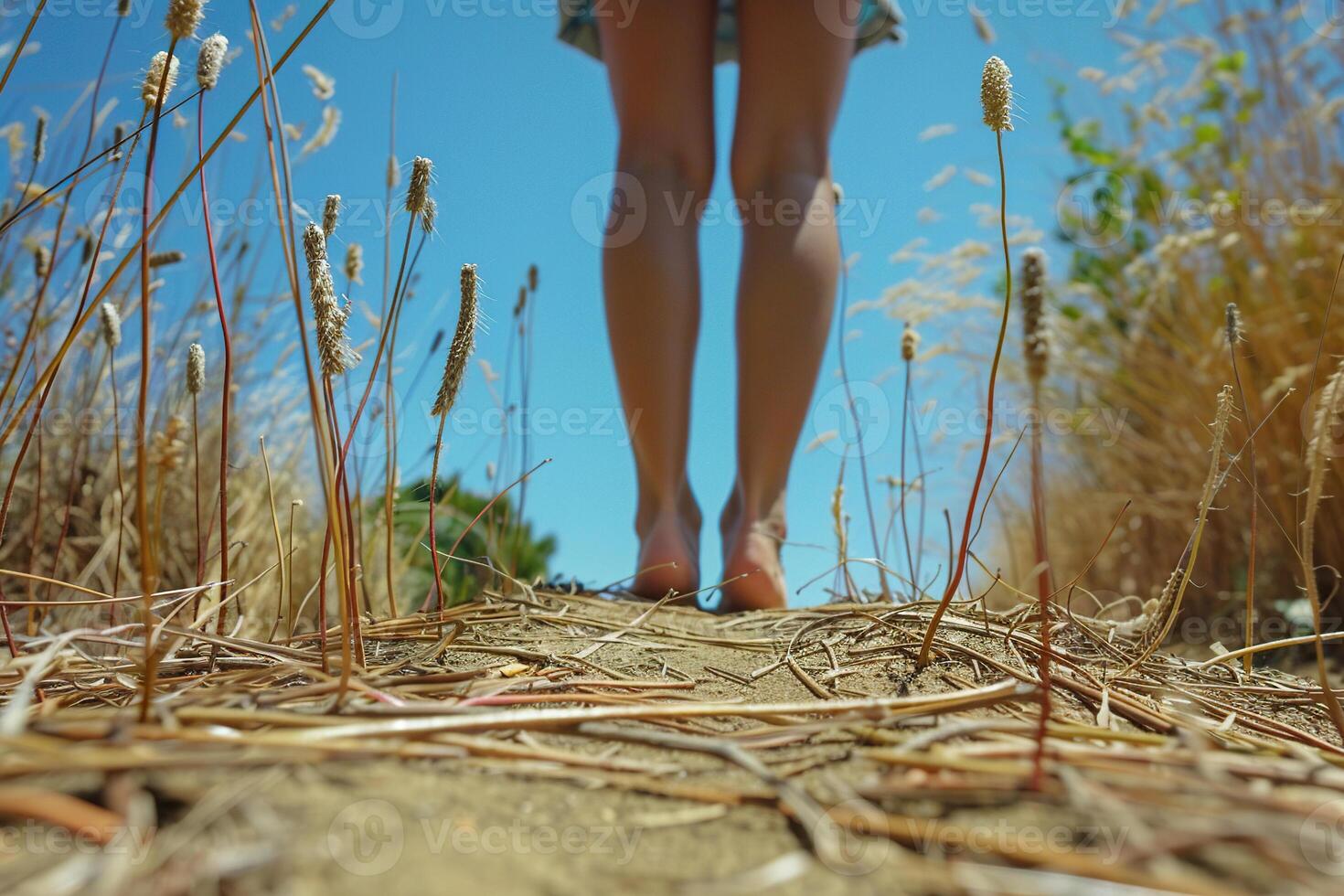 Women's bare feet in a wheat field. Generated by artificial intelligence photo
