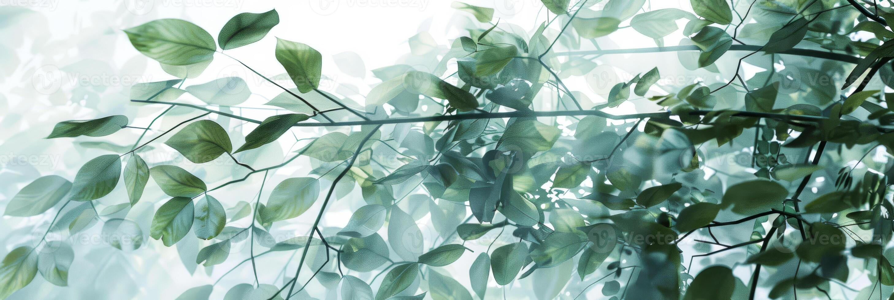 A tree with green leaves is shown in a blurry photo