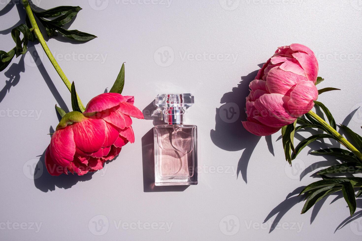 Elegant bottle of women's perfume with delicate fragrances on a gray background with flowers peonies pink . Empty packaging. presentation. photo