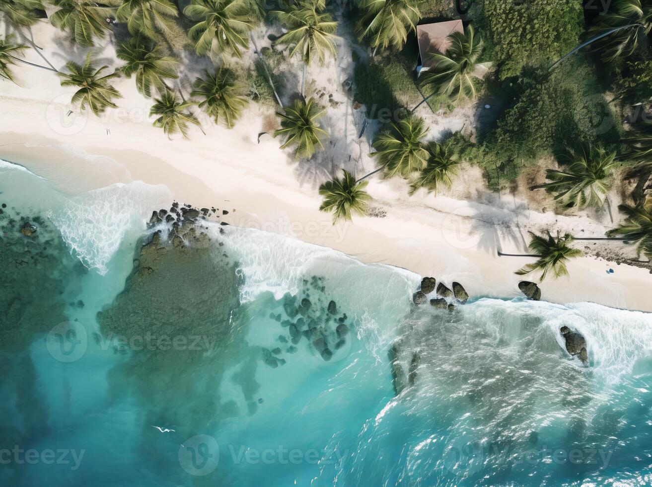Aerial View Of Tropical Beach Paradise photo