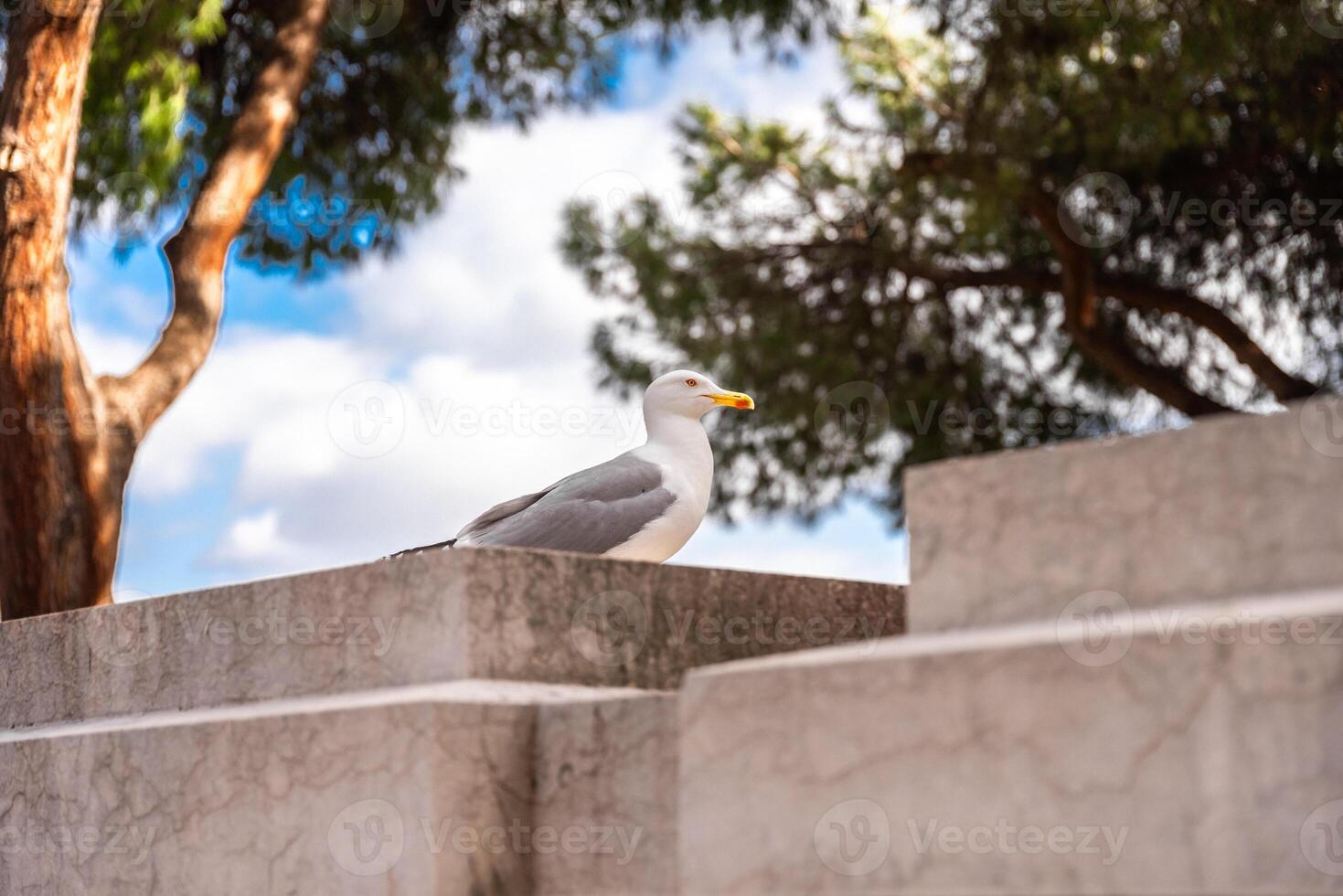 Photos of the sights of Rome through the eyes of a tourist