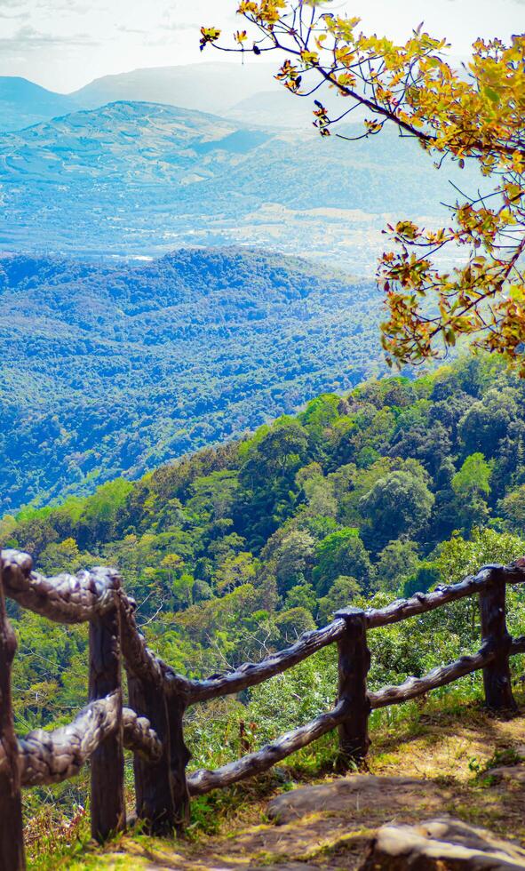 The stunning view in Forest Park from a tourist's standpoint as they go down a hill with background of blue sky, Rainforest, Thailand. Bird's eye view. Aerial view. photo