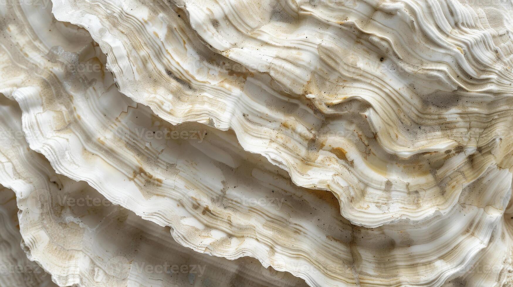 Rough Oyster Shell Texture Closeup Showing Layered Patterns and Organic Details for Nature-Themed Designs photo