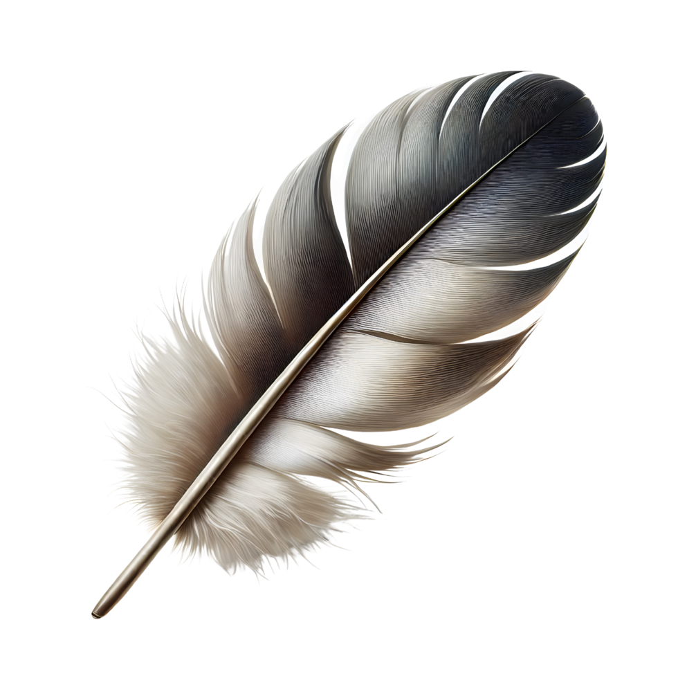 antique feather quill writing pen png