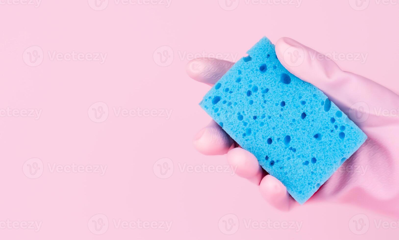 A hand in pink rubber glove holds a cleaning sponge on a pink background. Copy space. Banner. Selective focus. photo