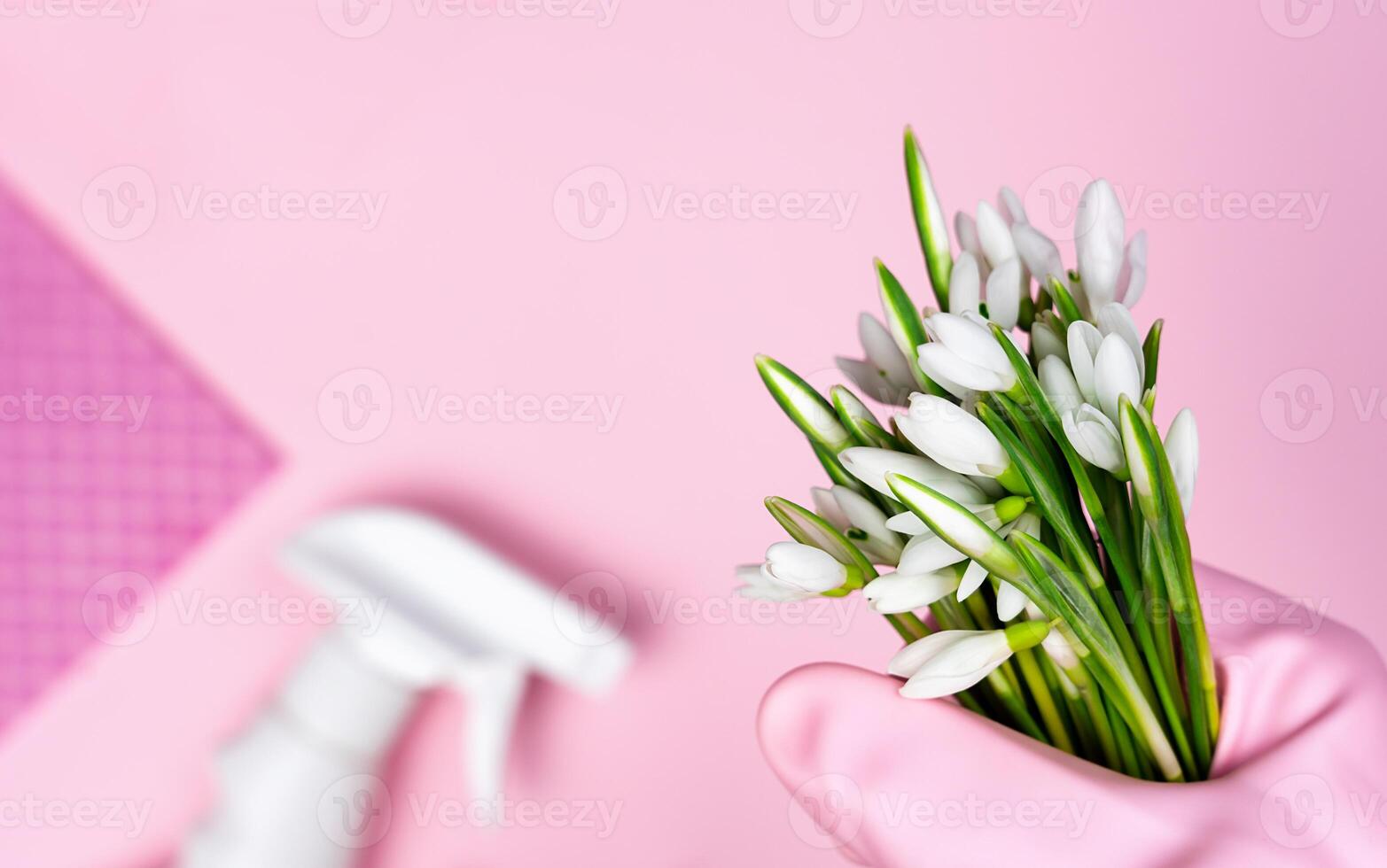 Spring cleaning concept. Spring flowers in hand, cleaner and sponge on a pink background. Top view. Copy space. photo