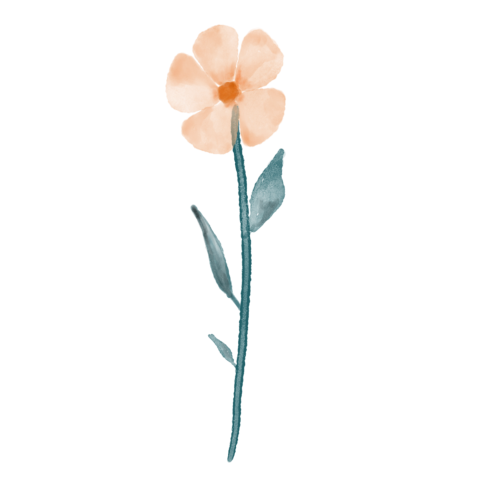 Watercolour Flower Clipart on a Transformers Background png