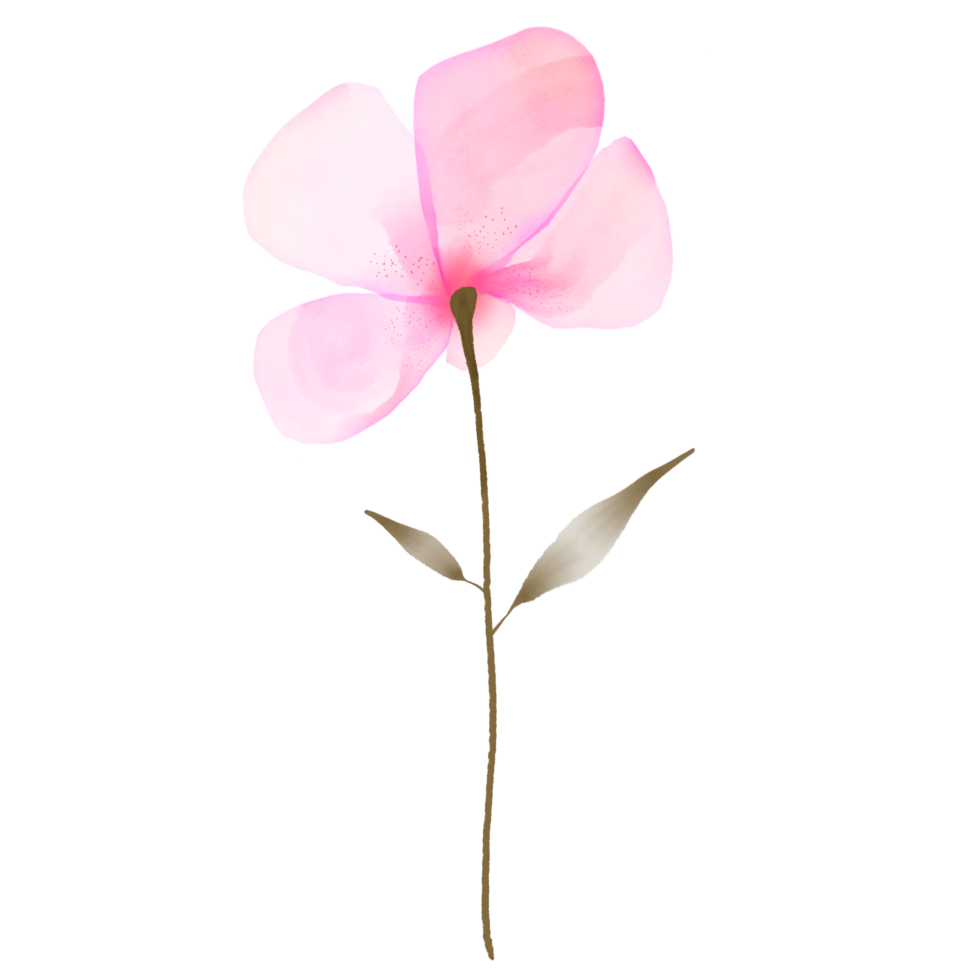 A Pink Watercolour Flower with a Green Stem and Leaves on a Transparent Background png