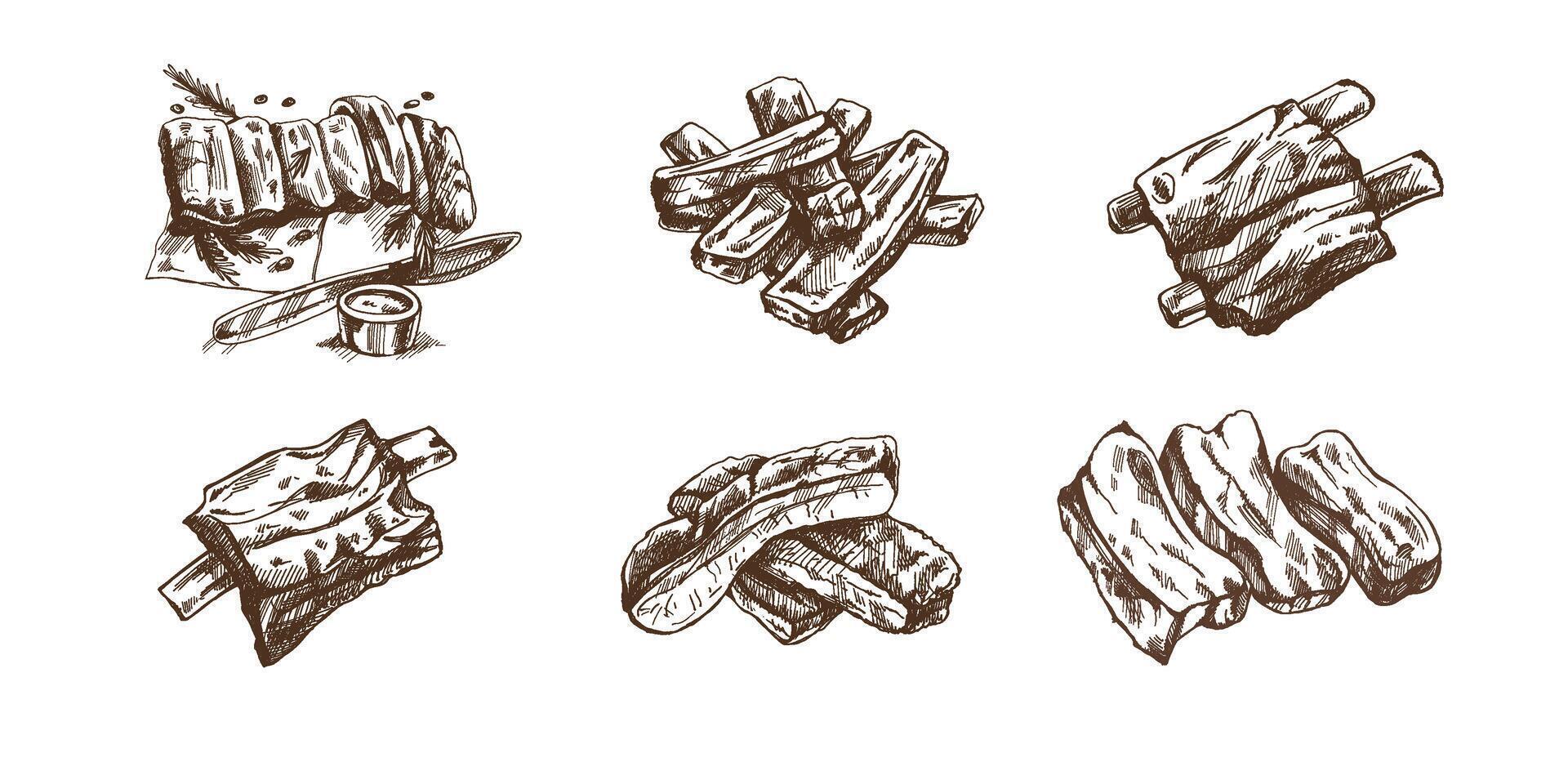 Hand-drawn monochrome sketch set of barbecue ribs. Doodle vintage illustration. Decorations for the menu of cafes and labels. Engraved image. vector